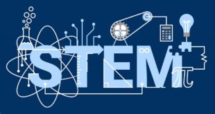 stem چیست